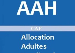 Logo Allocation aux Adultes Handicapés - Caisse d'allocations familiales